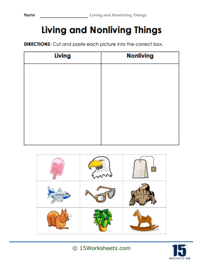 living or nonliving worksheet