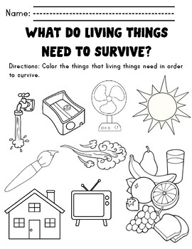 Needs of Living Things - Worksheet
