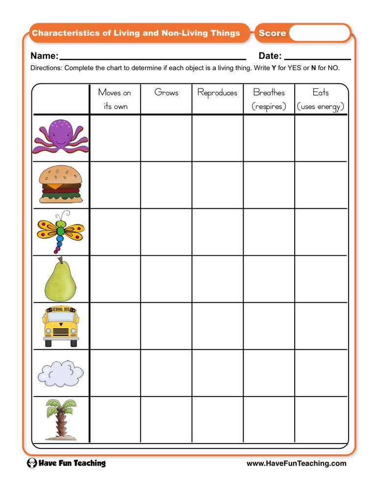 living things and nonliving things worksheet