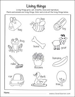 living things and nonliving things worksheet