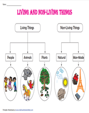 living things and nonliving things worksheet