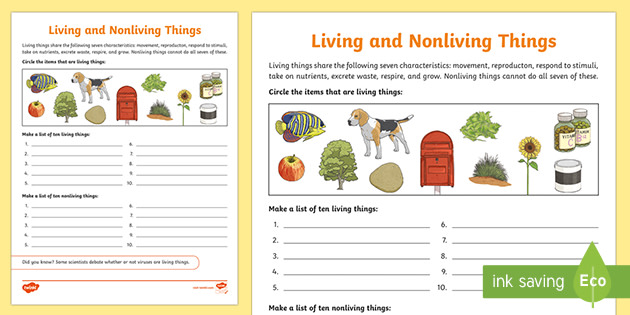 living things and the environment worksheet