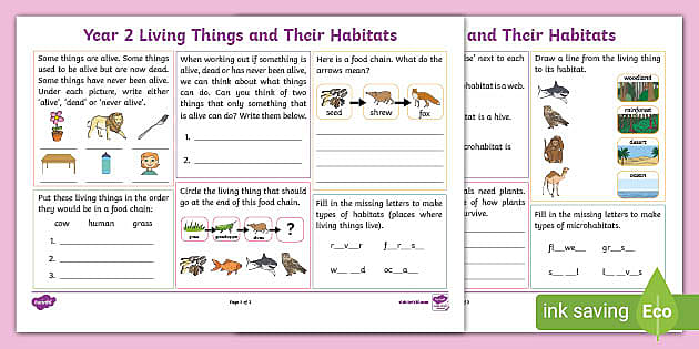 living things and their environment worksheet