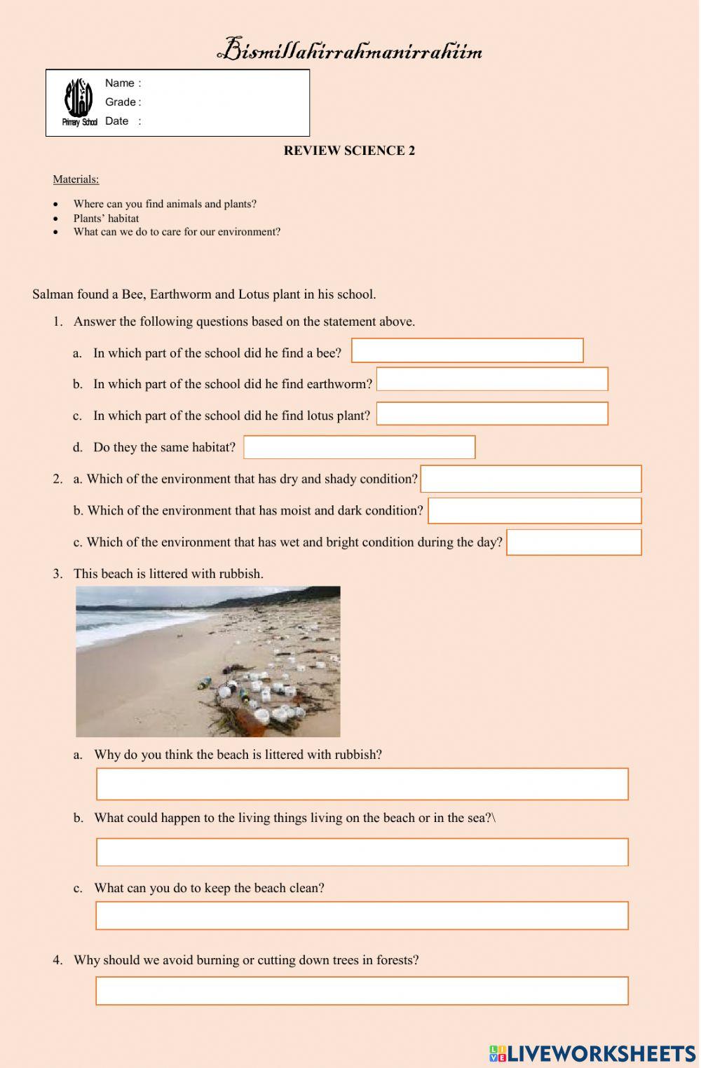 living things and their environment worksheet