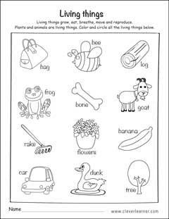 living vs nonliving things worksheet