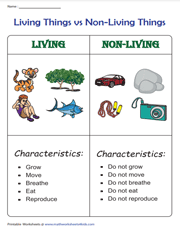 living vs nonliving things worksheet