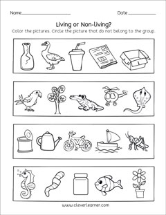 living vs nonliving things worksheet