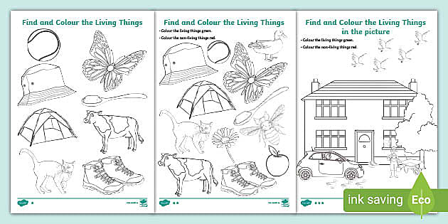 living vs nonliving worksheet