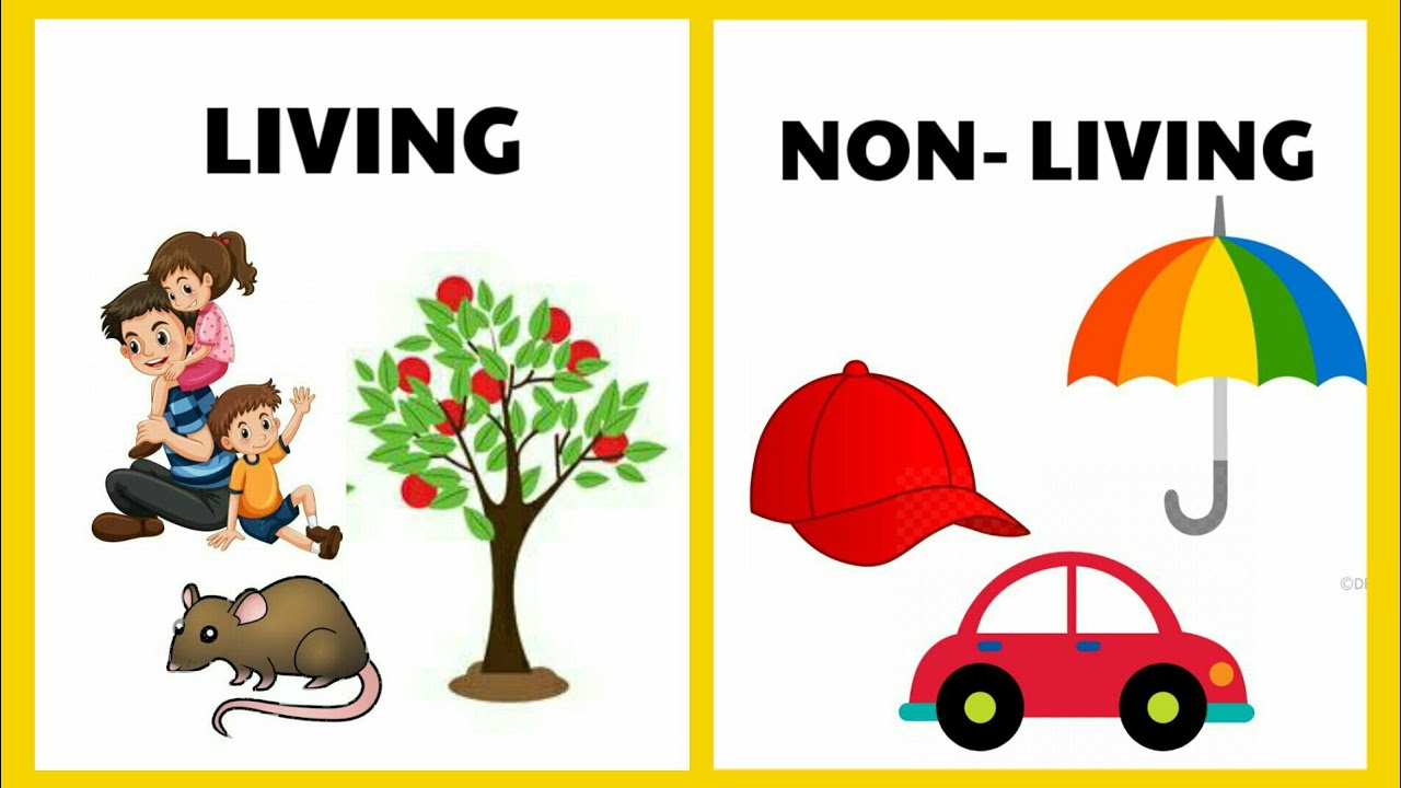 living things and nonliving things | Living and non living things for kids  | Living and non living
