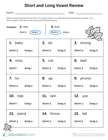 Long and Short Vowel Review | Interactive Worksheet 