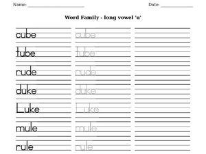 CVC Worksheet with Vowel u worksheet