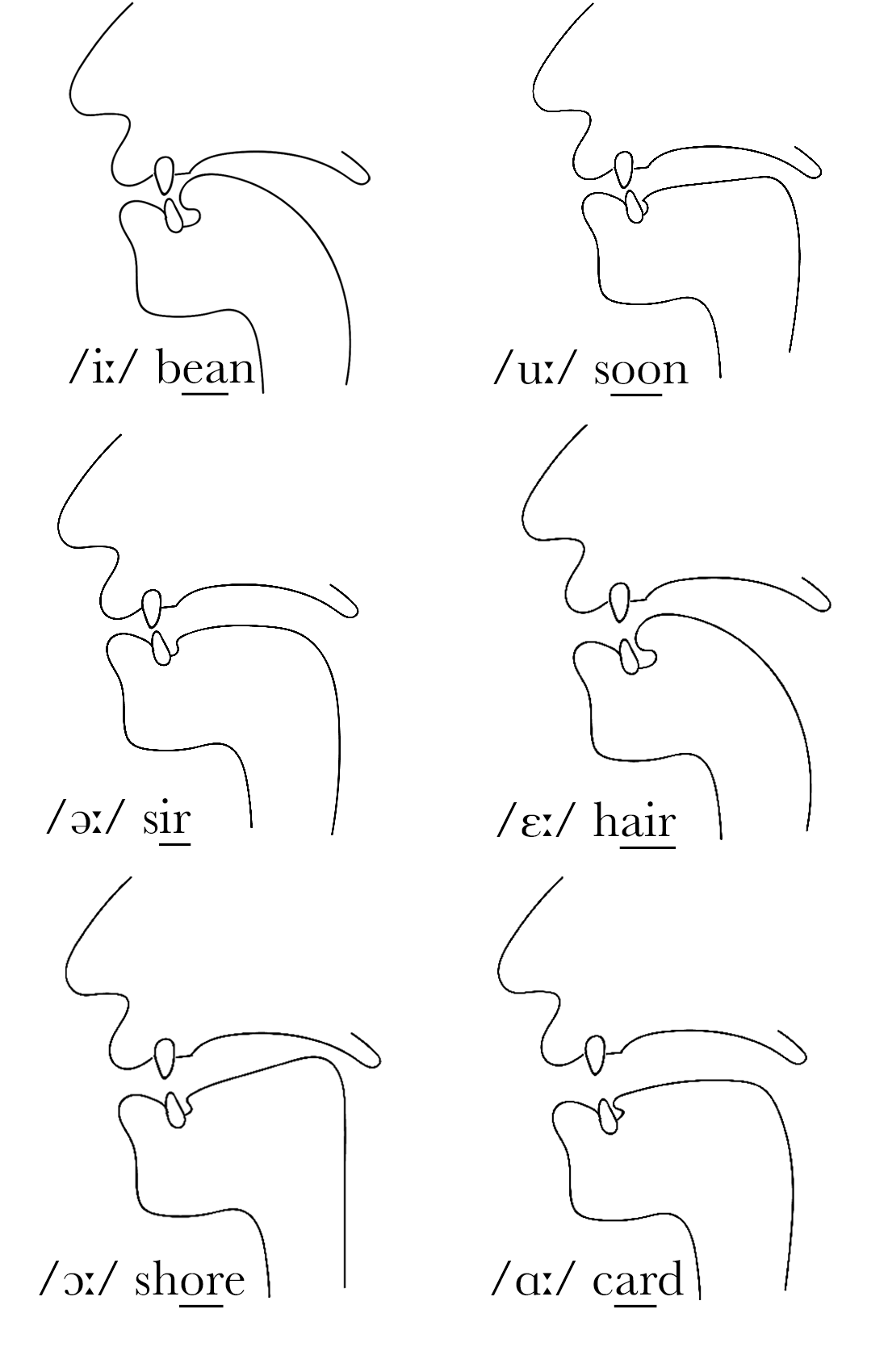 Long Vowel Sounds - The Sound of English