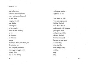 I LOVE PET - Word Search Puzzle Worksheet Activity