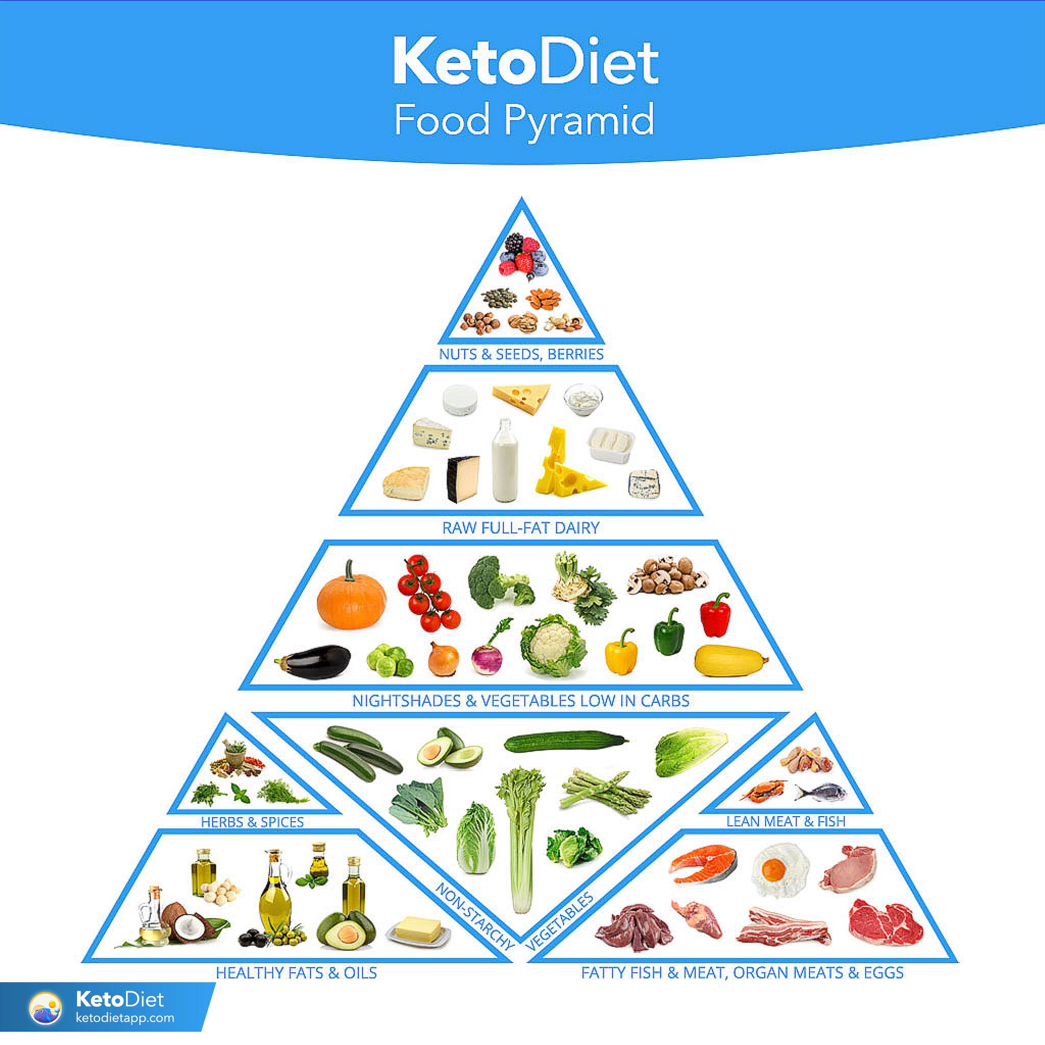 low carb food list printable vegetarian