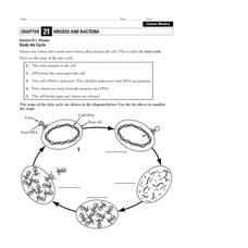 lytic and lysogenic cycle worksheet