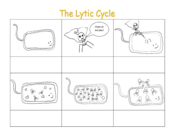 lytic and lysogenic cycle worksheet