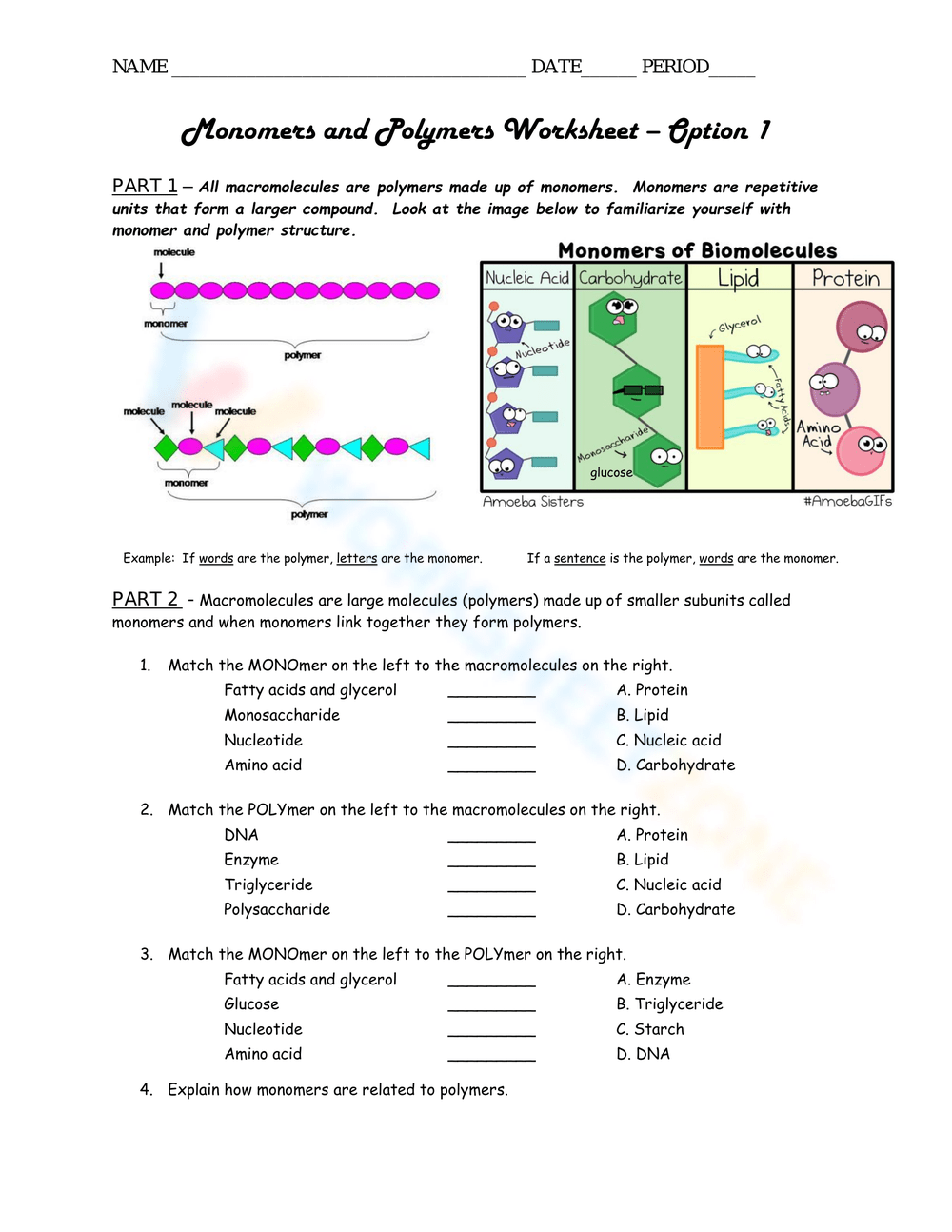 Free Printable Macromolecule Worksheets for Students