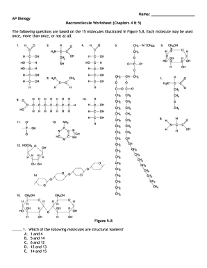 Macromolecule Worksheet 2020-2024 - Fill and Sign Printable ...