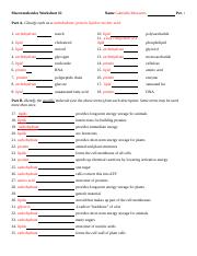 Macromolecules in Foods 2 .doc - Macromolecules Worksheet #2 Name ...