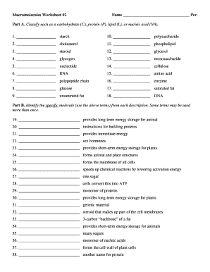 Macromolecules Worksheet - Fill Online, Printable, Fillable, Blank ...