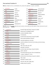 Kami Export - Alyssa McConnell - Macromolecules WS2.pdf ...
