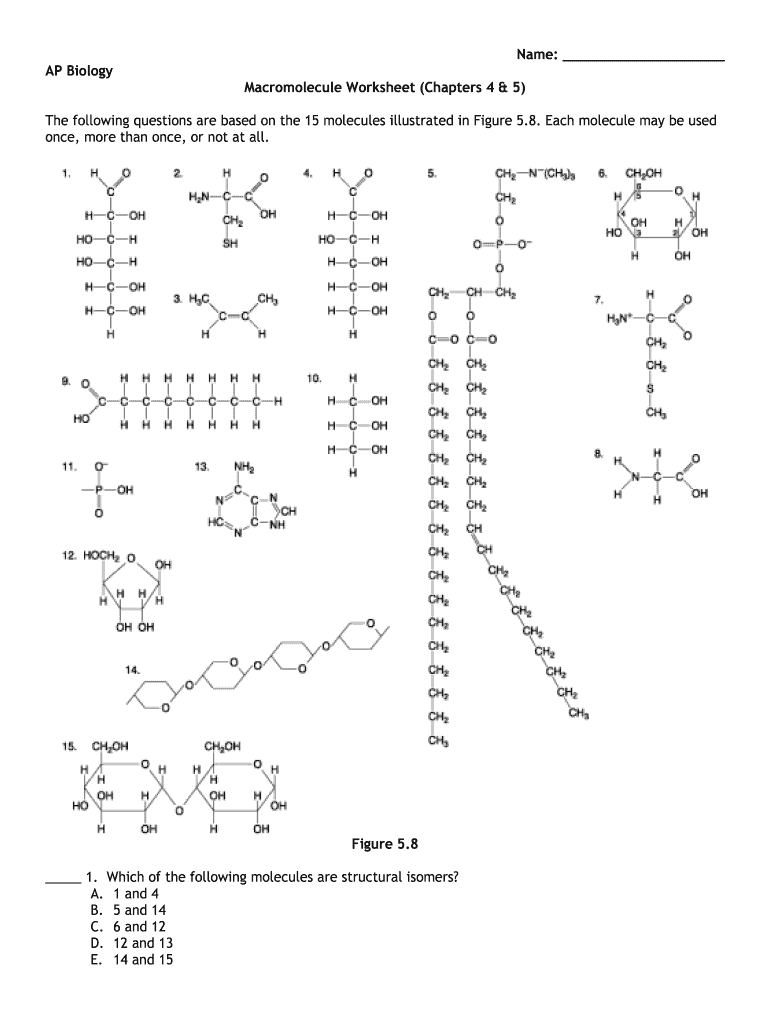 Macromolecules worksheet: Fill out &  sign online | DocHub