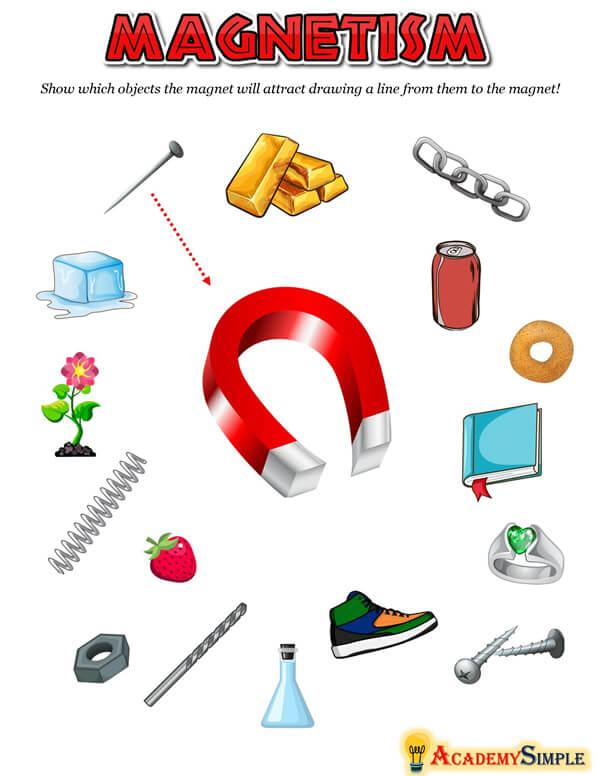 Is It Magnetic Worksheet By Teach Simple