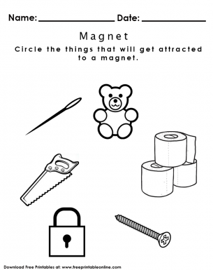 magnetism worksheet for kids