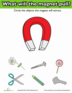 Introduction to Magnets | Worksheet 