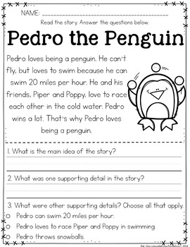 Main Idea Passages | Winter - Missing Tooth Grins