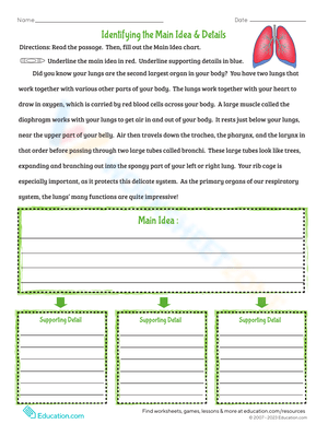 Identifying The Main Idea &  Details Worksheet
