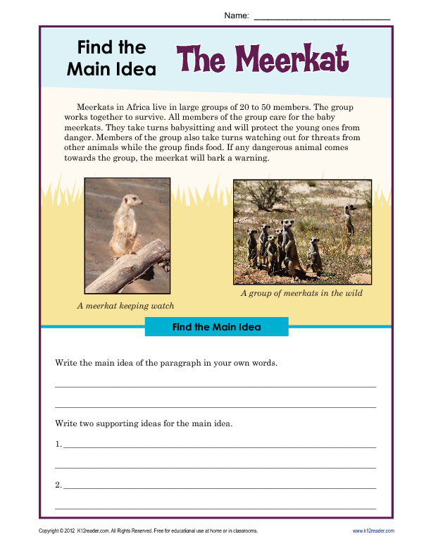 3rd or 4th Grade Main Idea Worksheet about The Meerkat Worksheets Library
