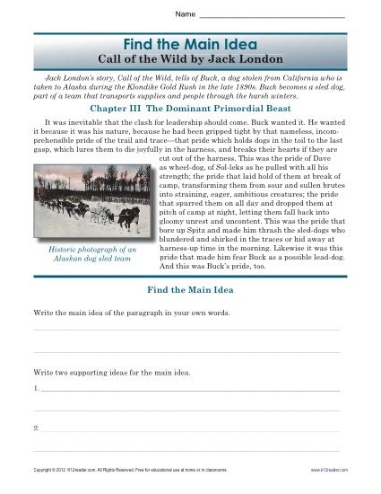 High School Main Idea Worksheet About The Book, Call of the Wild ...