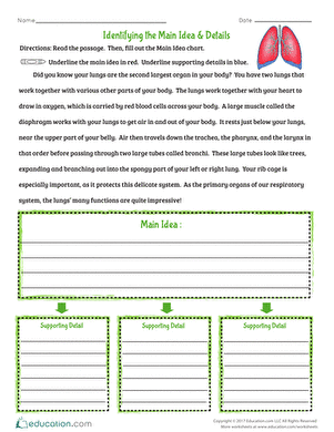Identifying the Main Idea &  Details | Worksheet 