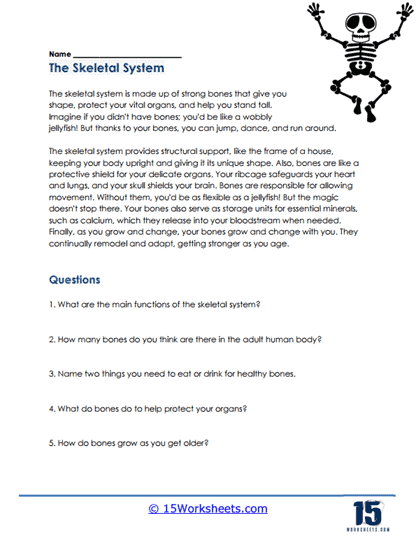 major organ systems worksheet