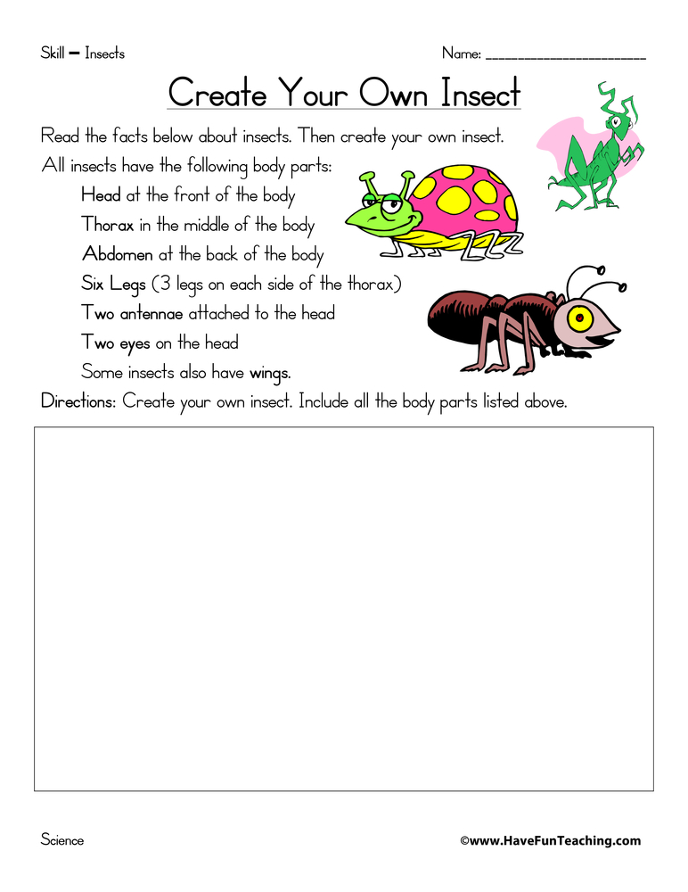 Create Your Own Insect Worksheet  