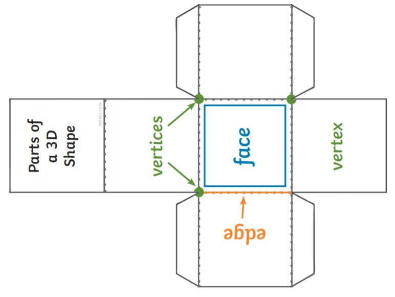 What Is a 3D Shape? - Types of 3D shapes - Twinkl