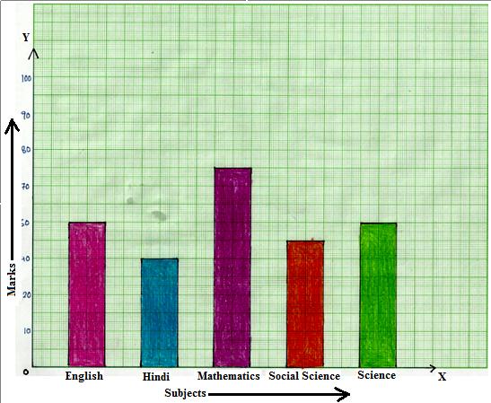 Worksheet on Bar Graphs | Bar Graphs or Column Graphs | Graphing Bar