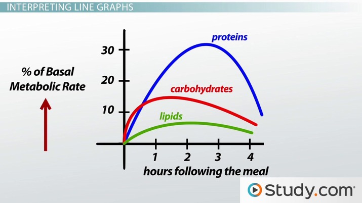 making science graphs and interpreting data worksheet answers
