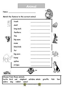 Animal Features Worksheet for 1st - 3rd Grade | Lesson Planet