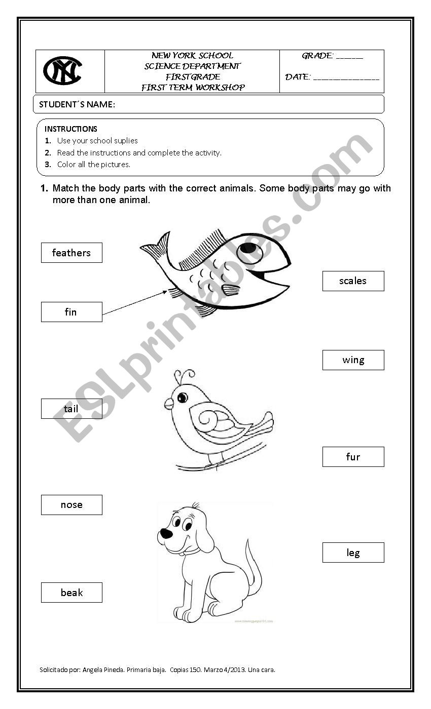 mammal characteristics worksheet