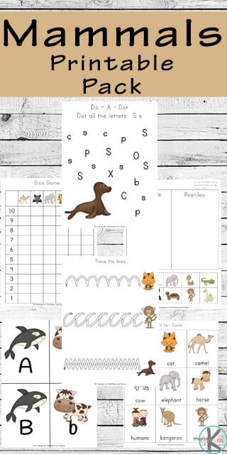 Mammals Worksheets for Kids