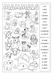 mammal worksheet for 2nd grade