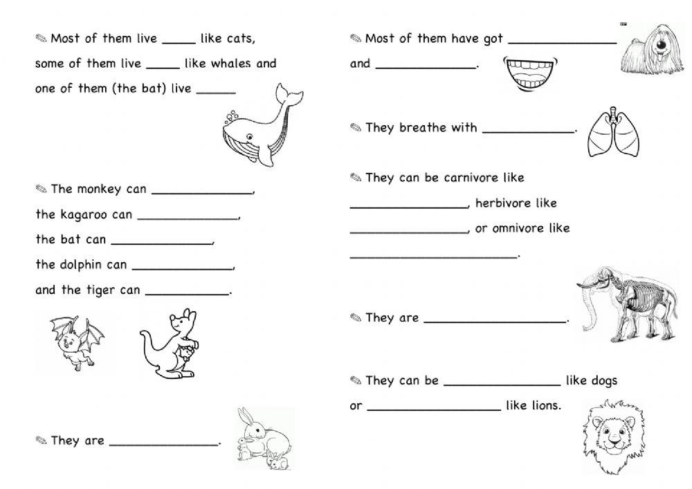 mammal worksheet for 2nd grade