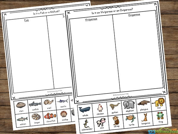 mammal worksheet for 2nd grade