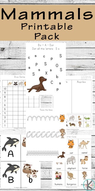Mammals Worksheets for Kids
