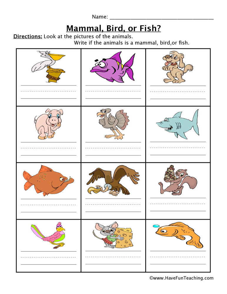 Mammal Fish Bird Worksheet  