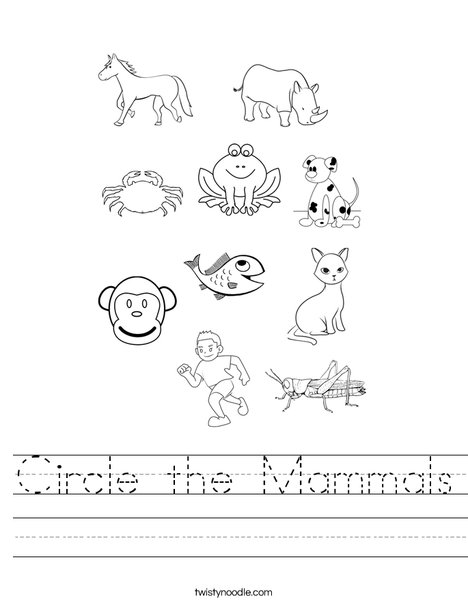 Circle the Mammals Worksheet - Twisty Noodle
