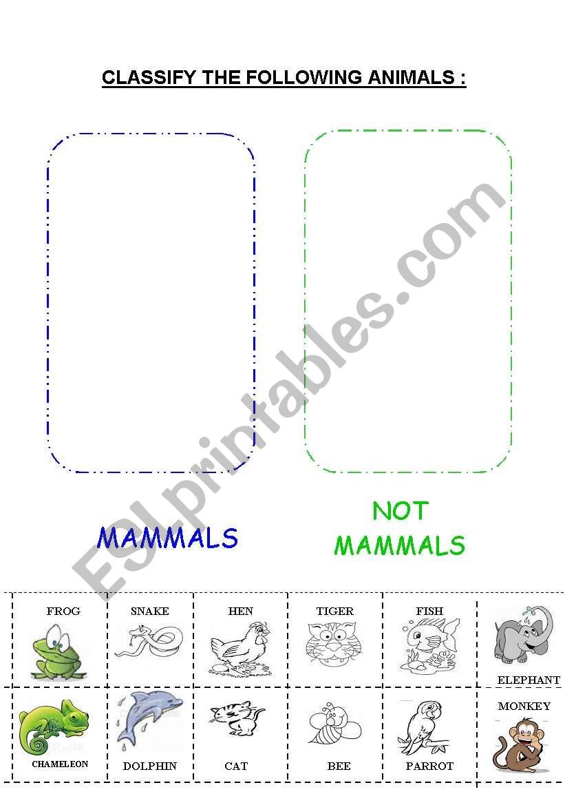 MAMMALS - ESL worksheet by escolapia