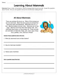 Learning about Mammals Worksheet by Teach Simple